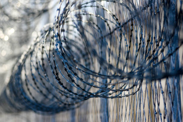 istock Barbed wire in prison, protecting prisoners from escaping. 1309245812