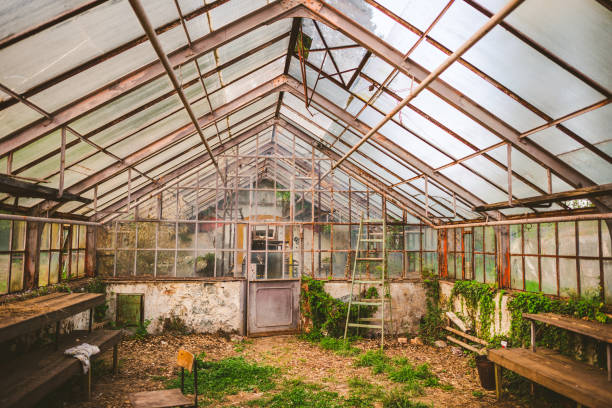 istock Inside of Abandoned greenhouse 1309246599