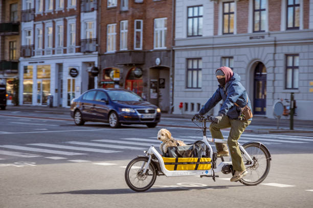 uomo su una cargo bike con un cane - denmark traffic copenhagen danish culture foto e immagini stock