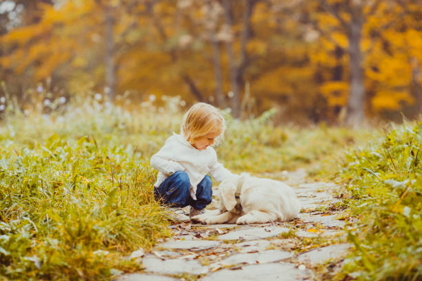 istock Man With Dog In Autumn 1309252362