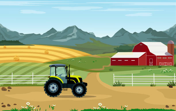 vektor-illustration von landwirtschaft und landwirtschaft. agribusiness. ländliche landschaft mit einem bauernhof und einem traktor. designelemente für infografiken, websites und printmedien - green crop tractor planting stock-grafiken, -clipart, -cartoons und -symbole