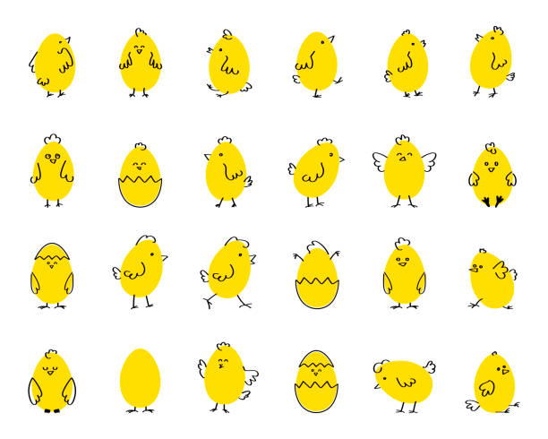 ilustraciones, imágenes clip art, dibujos animados e iconos de stock de pascua divertidos pollos lindos, ilustración vectorial plana sobre fondo aislado blanco. establecer - young bird illustrations