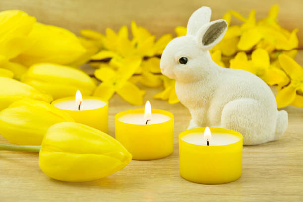 Easter bunny with yellow tulips and candles
