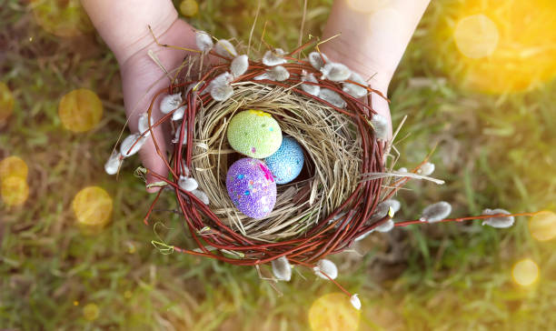 las manos de los niños sostienen un hermoso nido de hierba y ramas de sauce de coño con huevos de pascua decorados sobre un fondo de hierba verde con bokeh soleado. tarjeta de pascua, estandarte, copiar pasta. feliz pascua - animal egg golden animal nest nest egg fotografías e imágenes de stock