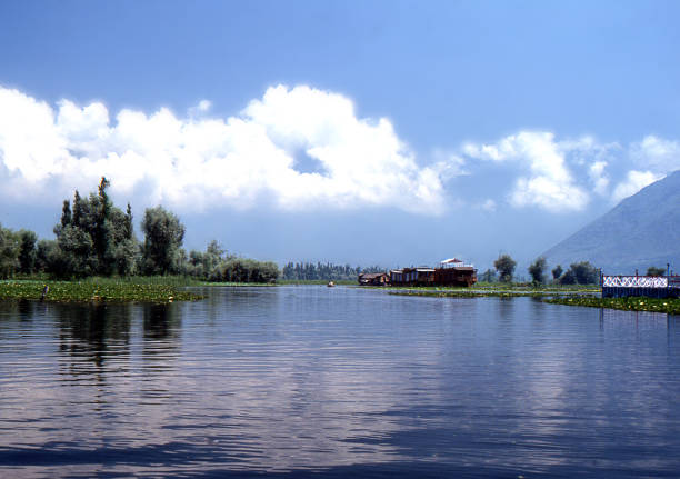 istock Dal lake Srinagar Kashmir India 1309261070