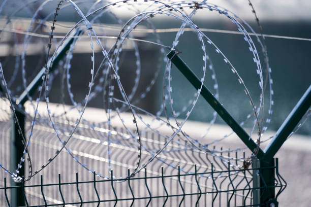 istock protection fence with barbed wire, barbed wire wall 1309261138