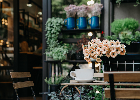 Spring gardening season, organic cafe and small business. Cream daisies in basket and white cup of hot latte on wooden table for clients in studio on street with different plants in pots, inside