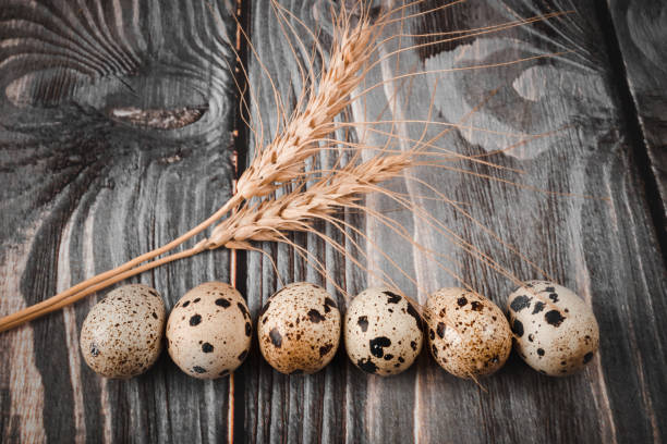 A row of quail eggs on a wooden table decorated with a spica. Country style.