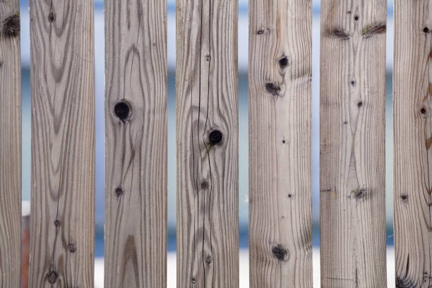 istock Natural wood with a fine structure, photographed outdoors in daylight 1309263678