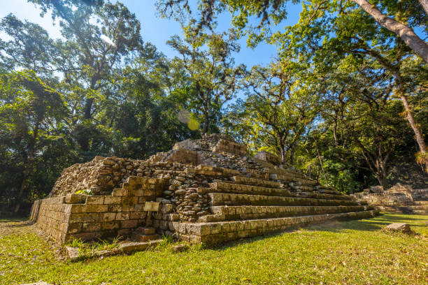 istock Maia piramideak Copan Ruinasen. Honduras 1309267367