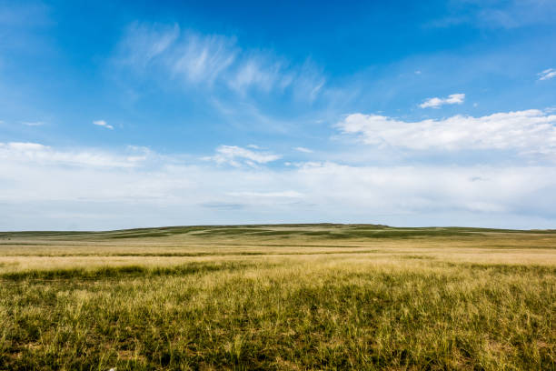 istock Summer grasslands of Inner Mongolia 1309267816