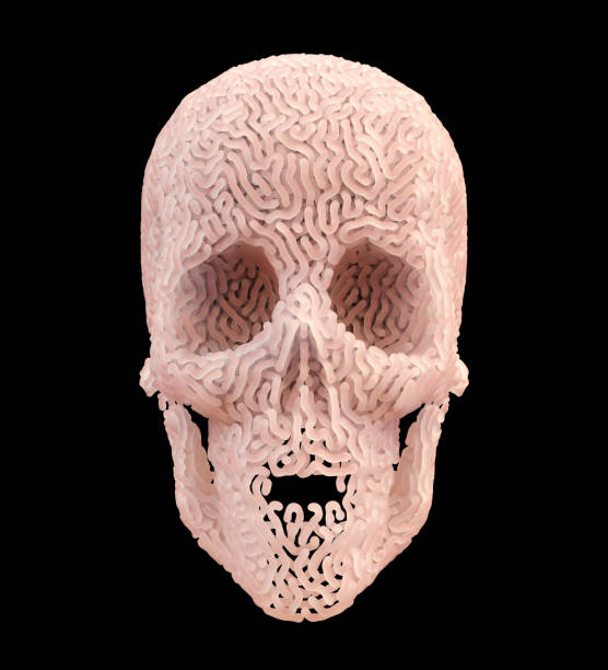 istock Abstract Skin Carved Skull On Black Background 1309269633