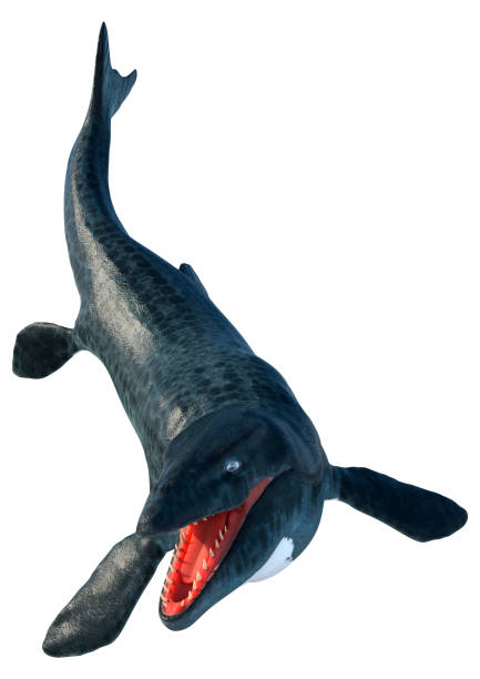 istock 3D illustration  large marine extinct reptile Mosasaur on white 1309269772
