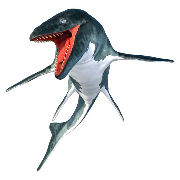 istock 3D illustration  large marine extinct reptile Mosasaur on white 1309269773