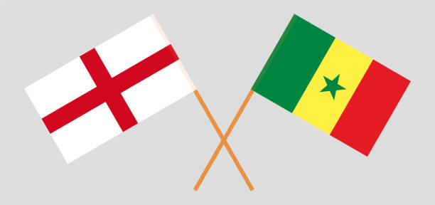 скрещенные флаги англии и сенегала - england senegal stock illustrations
