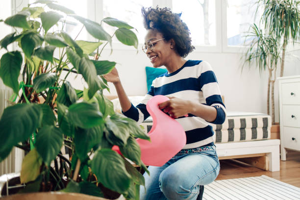 retrato de una joven afroamericana regando plantas y disfrutando - planta de interior fotografías e imágenes de stock