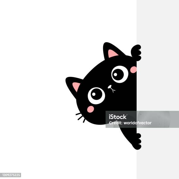 Cat Kitten Holding Big Empty Signboard Cute Cartoon Kawaii Funny Kitty  Hiding Behind Paper Wall Flat Design Typography Print Template White  Background Isolated Stock Illustration - Download Image Now - iStock