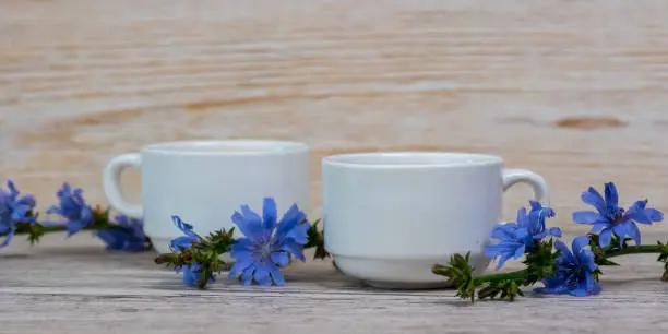 hot drink chicory coffee in white cups on aged wooden table with fresh plant