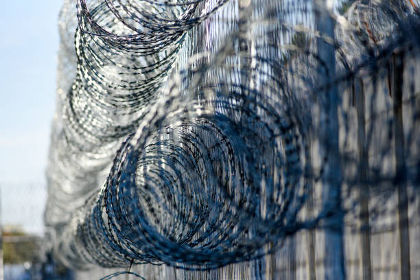 istock Barbed wire in prison, protecting prisoners from escaping. 1309279047