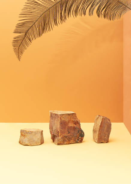 istock Abstract composition with natural rocks and palm leaf against beige and orange background. Minimal stage concept. 1309280289