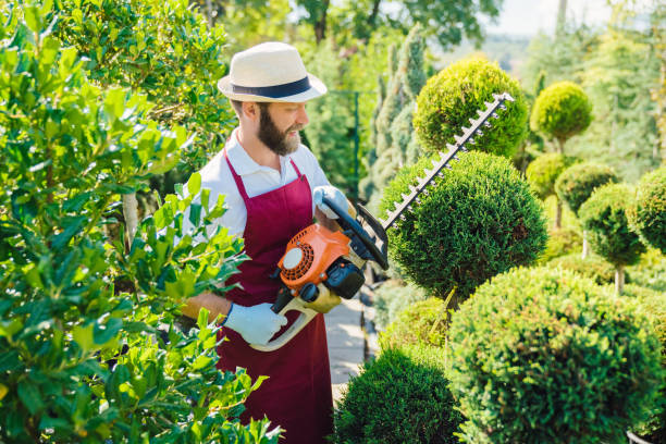 istock Gardener pruning plants in garden center 1309281689