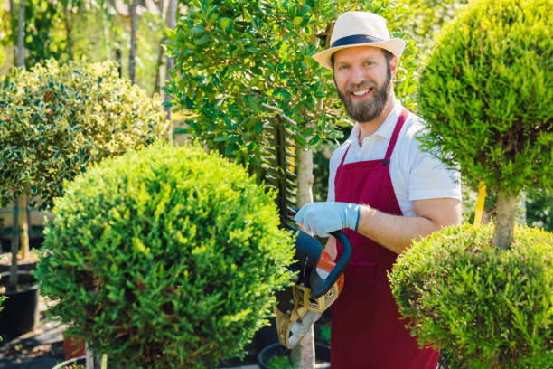 istock Gardener pruning plants in garden center 1309281717