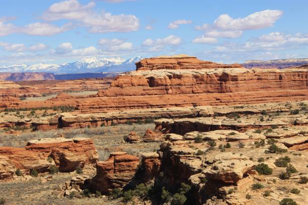 istock Canyon Scenery of the Southwest 1309282185
