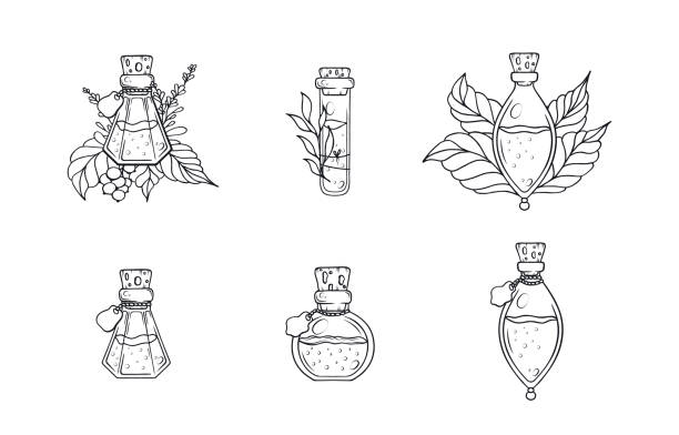ilustrações de stock, clip art, desenhos animados e ícones de love potion set with floral branches. vector isolated elixirs for witchcraft. - alchemist
