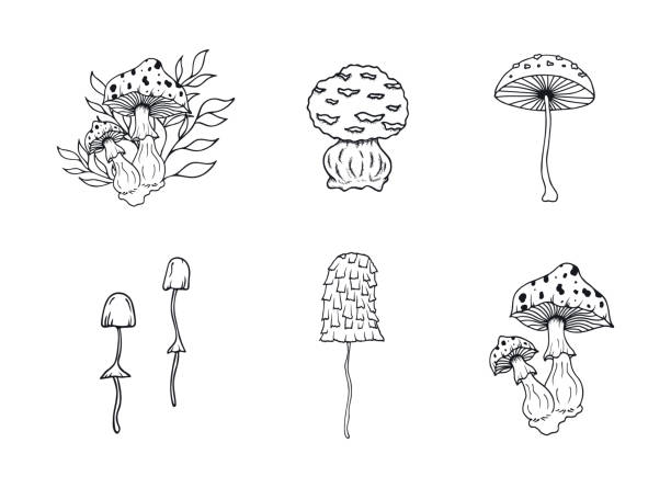 1,264 Mushroom Tattoo Illustrations & Clip Art - iStock