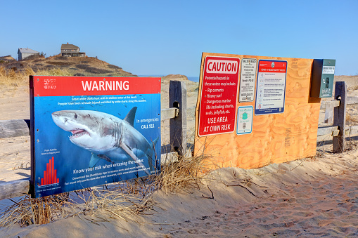 Truro, Massachusetts, USA - March 23, 2021: Morning view of a shark warning sign along path to Ballston Beach on Cape Cod