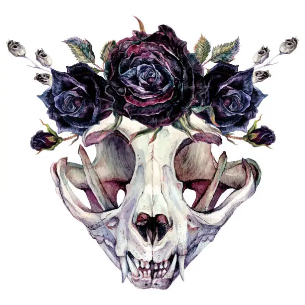 Vector illustration of Watercolor Skull and Flowers Halloween Illustration