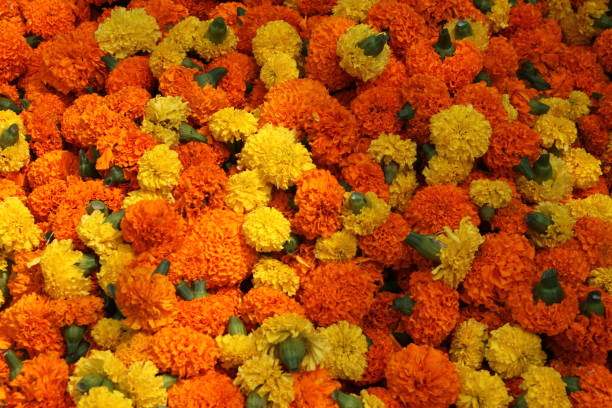 Gagannath Ghat Flower market