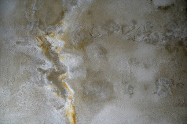 istock Mineral plasters as a background with strong structure, photographed in daylight 1309290368