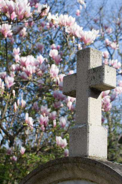 vieille croix de pierre, symbole catholique de religion avec le fond de fleur de magnolia - new life death cemetery flower photos et images de collection