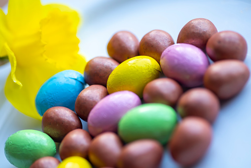 Daffodil and chocolate Easter eggs.