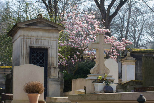 istock springtime graveyard with old tombstones with sunny magnolia flower tree 1309292905