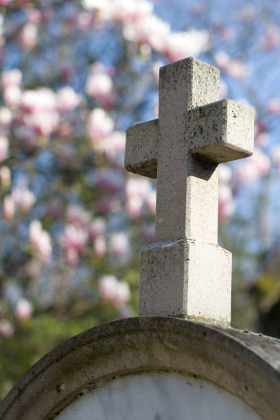 croce di pietra cattolica con bellissimi fiori di magnolia primaverile, sfondo sfocato - new life death cemetery flower foto e immagini stock