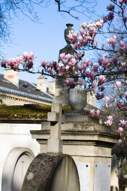 istock springtime cemetery with ancient monuments, tombstone over blue sky 1309293839