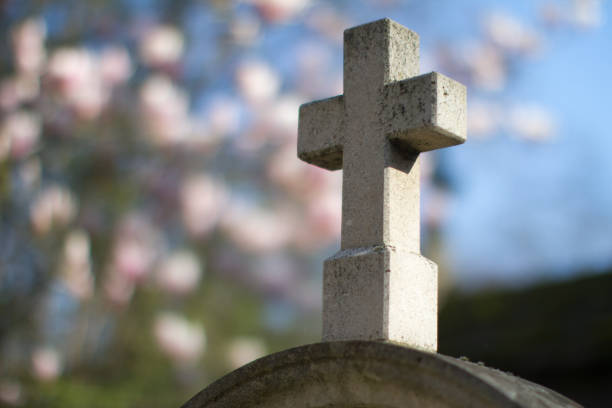 croix en pierre de cimetière avec de belles fleurs printanières de magnolia, fond brouillé - new life death cemetery flower photos et images de collection