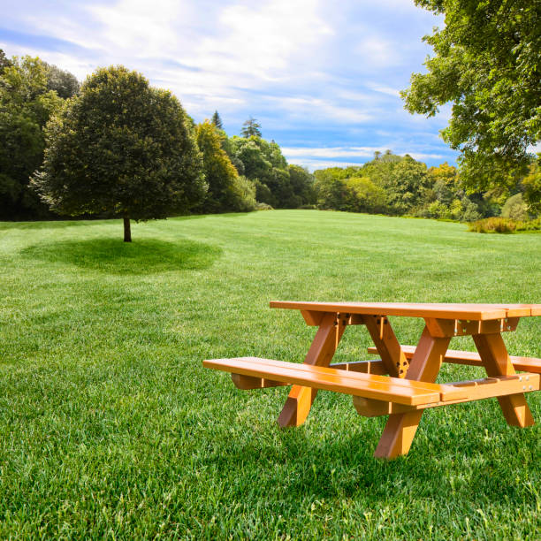 istock Empty wooden picnic table on a green meadow with trees - Image with copy space 1309294735