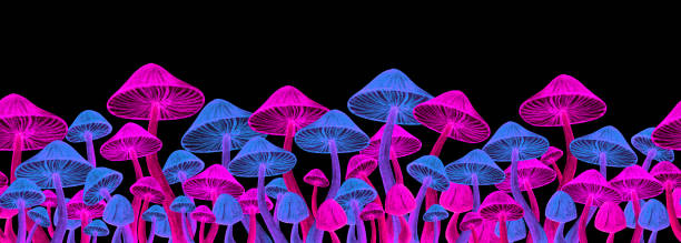 illustrations, cliparts, dessins animés et icônes de bordure transparente de néon de toadstool lumineux - magic mushroom psychedelic mushroom fungus