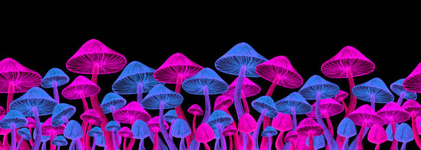 ilustrações de stock, clip art, desenhos animados e ícones de bright toadstool neon seamless border - magic mushroom