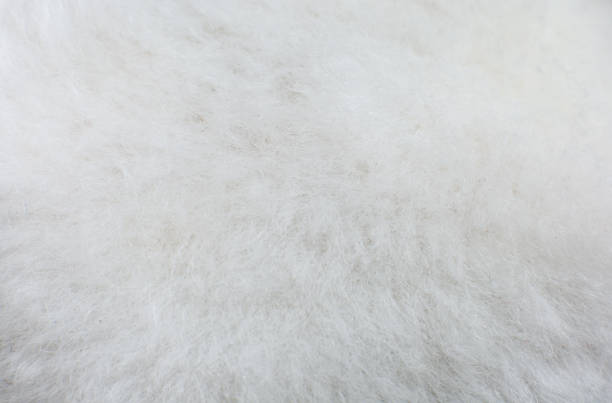 istock White cotton towel or carpet