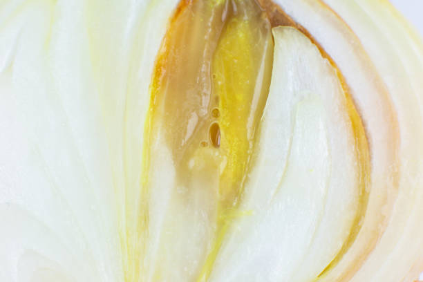 Spoiled, rotten onion. Disease, vegetable illness. Close up.