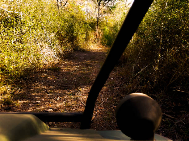 istock Camera mounted on front of UTV for images while driving though a wooded area. 1309298075