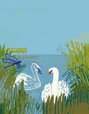 Illustration of a couple of swans in the lake. The concepts: 