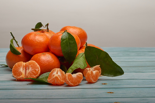 Oranges growing in a orchard in South Africa. Right before harvesting. From the Leandri sub specie