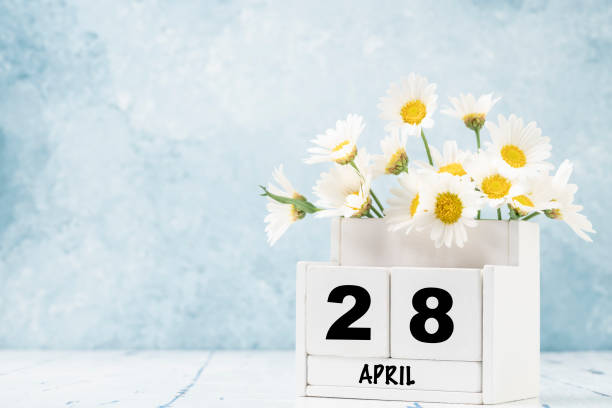 istock cube calendar for april decorated with daisy flowers over blue with copy space 1309303291
