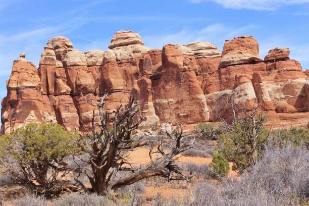 istock Hoodoos in a Desert Canyon 1309305364