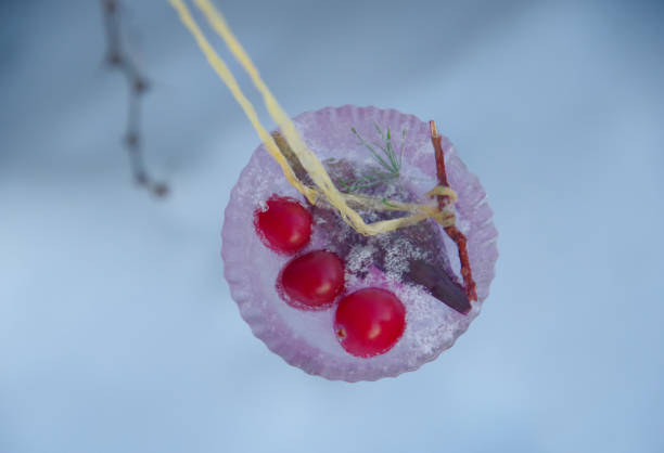 Frozen Berries on White background
